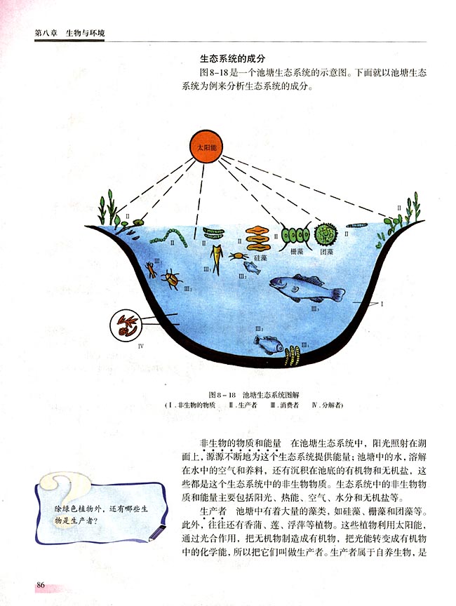 二 生态系统的结构(第86页)