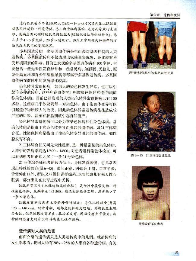 第五节 人类遗传病与优生(第53页)