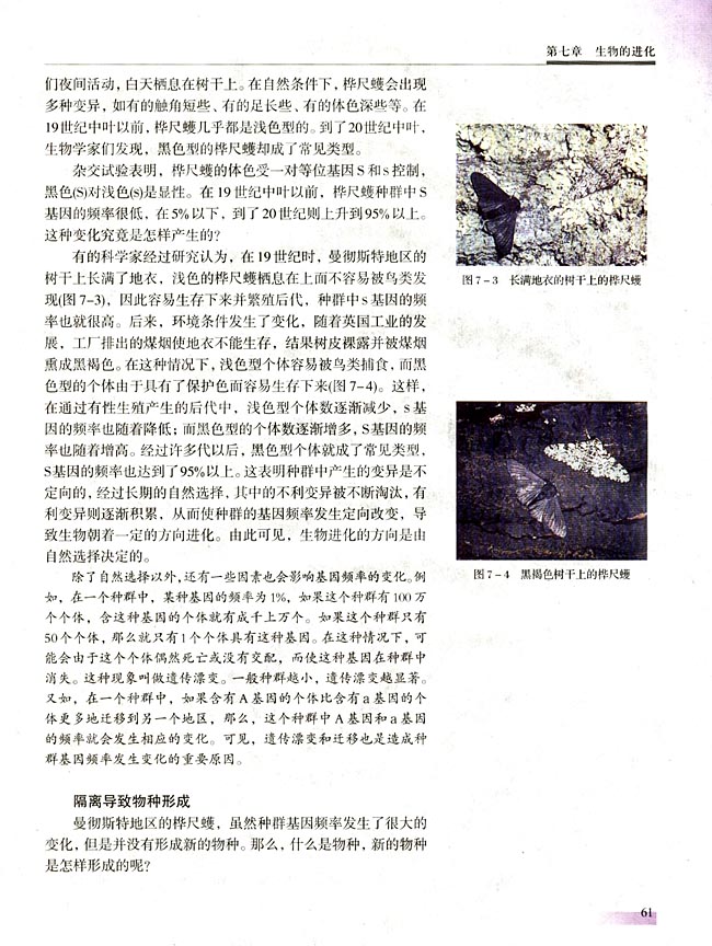 第七章 生物的进化(第61页)