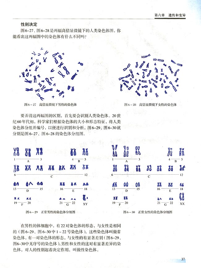第三节 性别决定和伴性遗传(第37页)