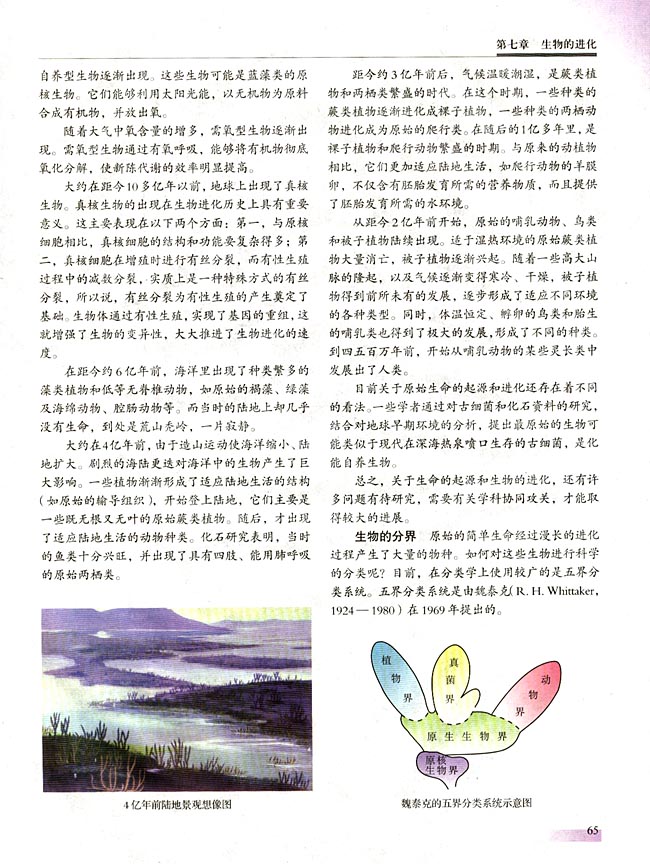 ● 课外读 生物的进化过程和分界(第65页)