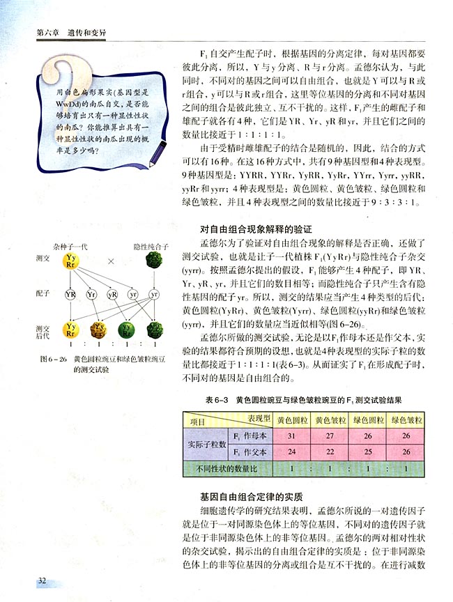 二 基因的自由组合定律(第32页)