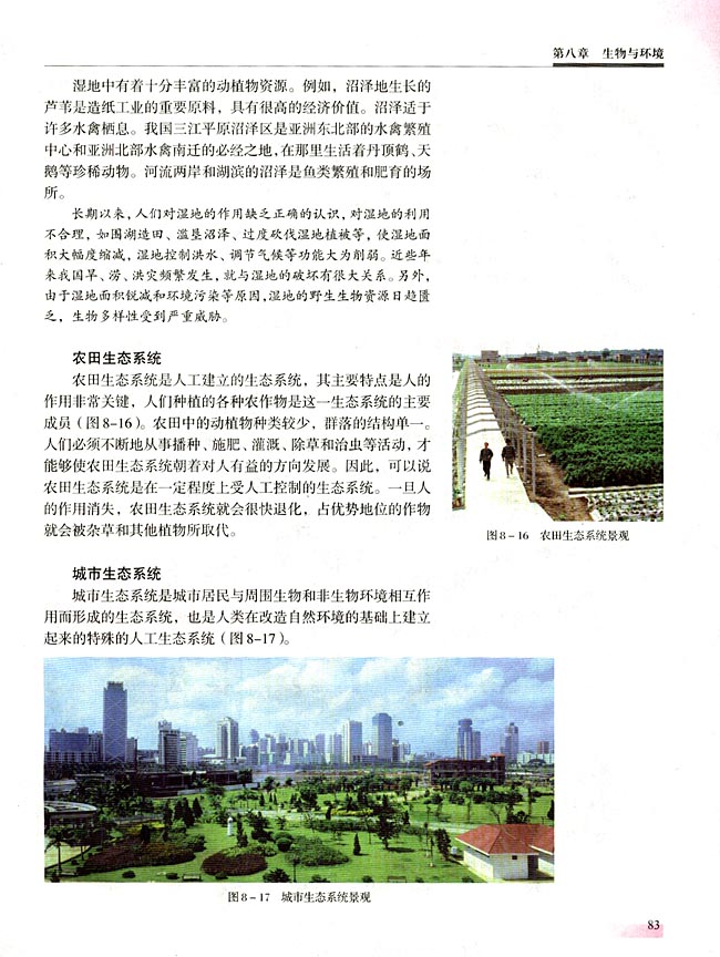 一 生态系统的类型(第83页)