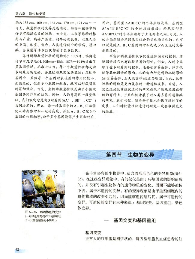 一 基因突变和基因重组(第42页)