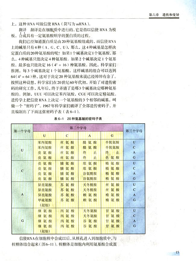三 基因的表达(第15页)
