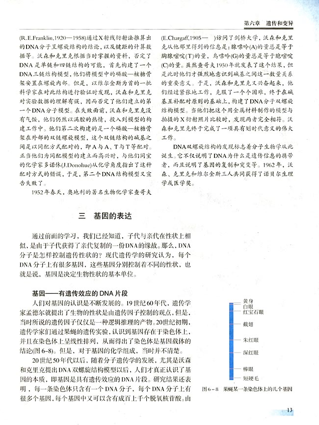 三 基因的表达(第13页)