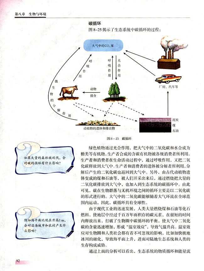 四 生态系统的物质循环(第92页)