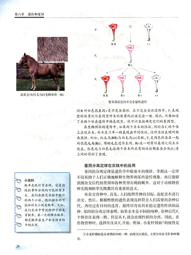 【实验十一】 性状分离比的模拟实验(第26页)