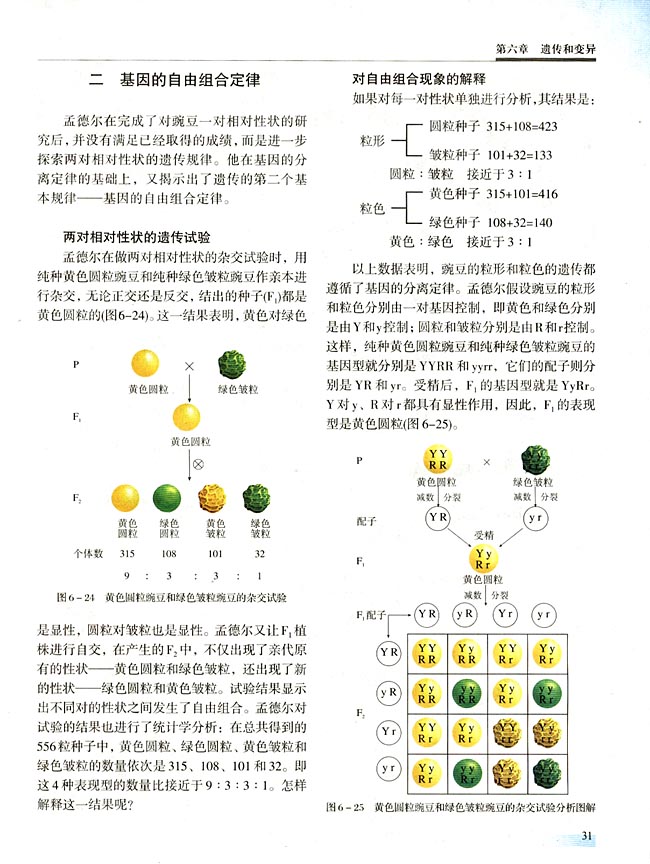 二 基因的自由组合定律(第31页)