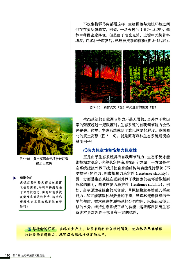 第3节 生态系统的物质循环(第110页)