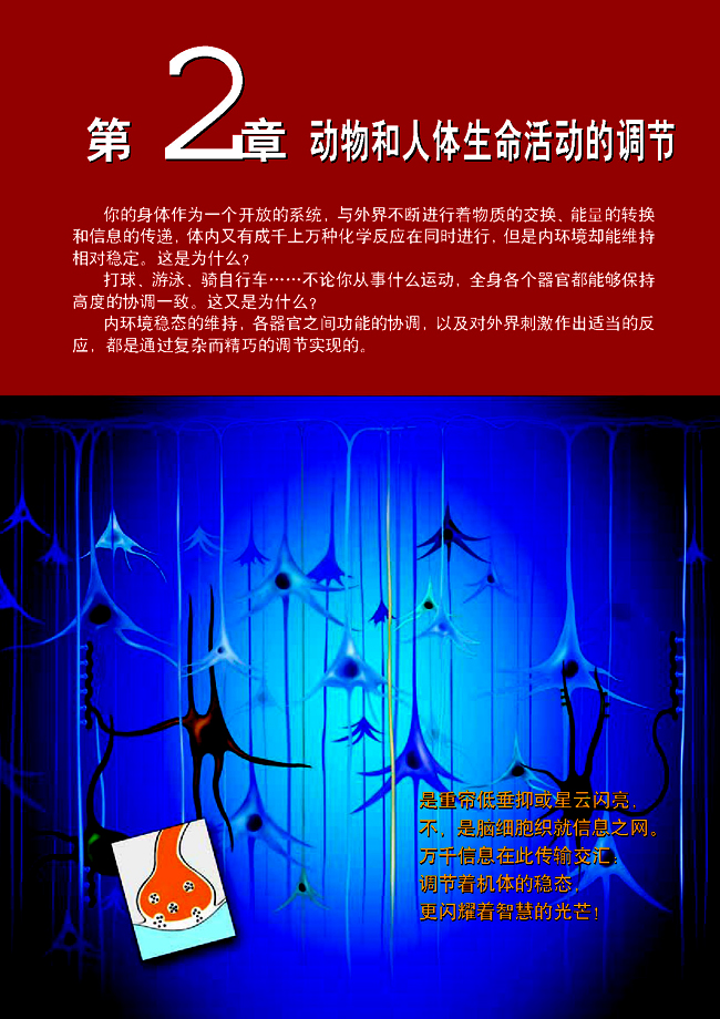 第2章 动物和人体生命活动的调节(第15页)