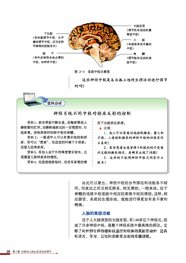 第1节 通过神经系统的调节(第20页)