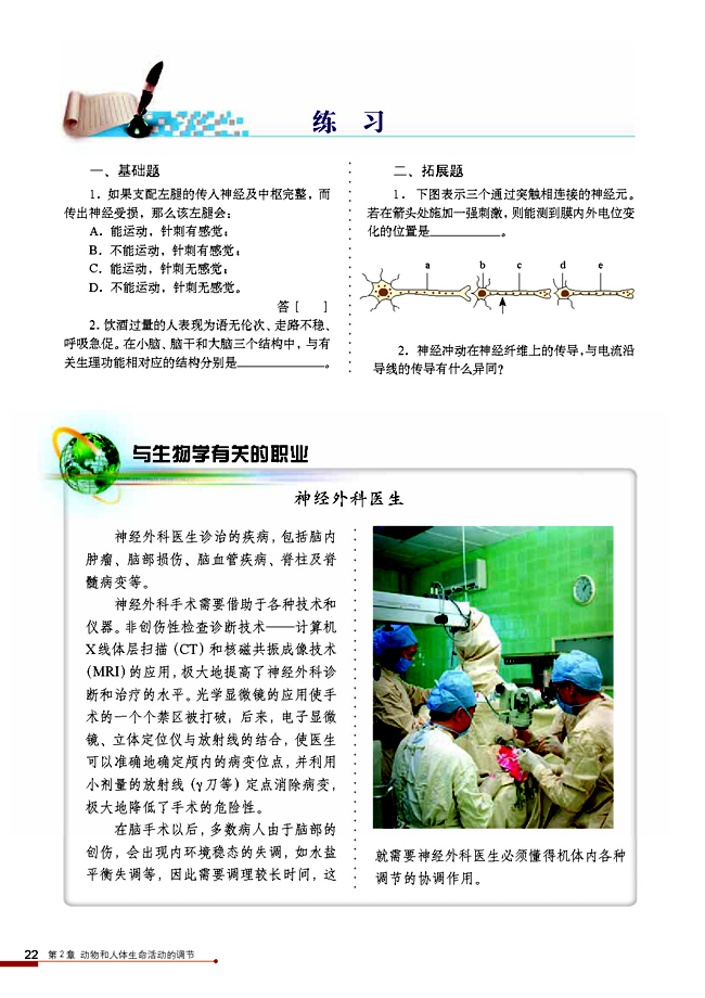 与生物学有关的职业 神经外科医生(第22页)
