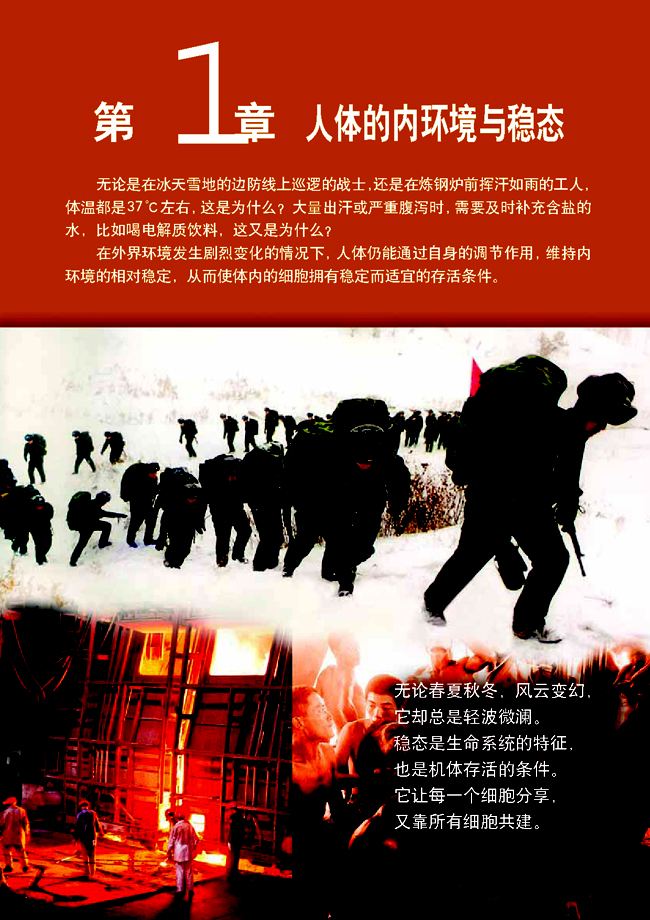 第1章 人体的内环境与稳态(第1页)