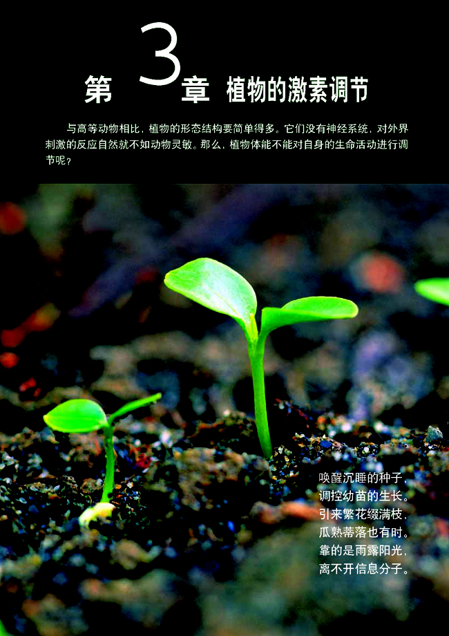 第3章 植物的激素调节(第45页)