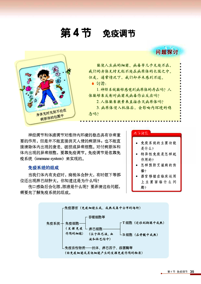 第4节 免疫调节(第35页)