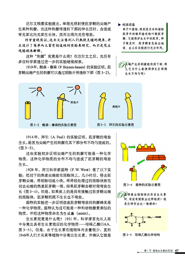 第1节 植物生长素的发现(第47页)