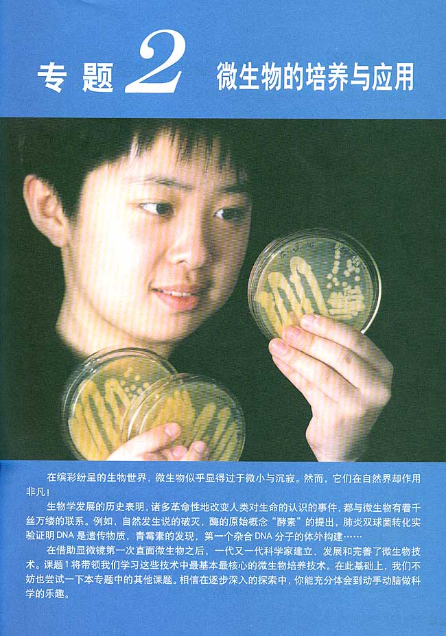 专题2 微生物的培养与应用(第13页)