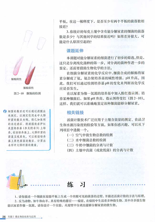 课题2 土壤中分解尿素的细菌的分离与计数(第26页)