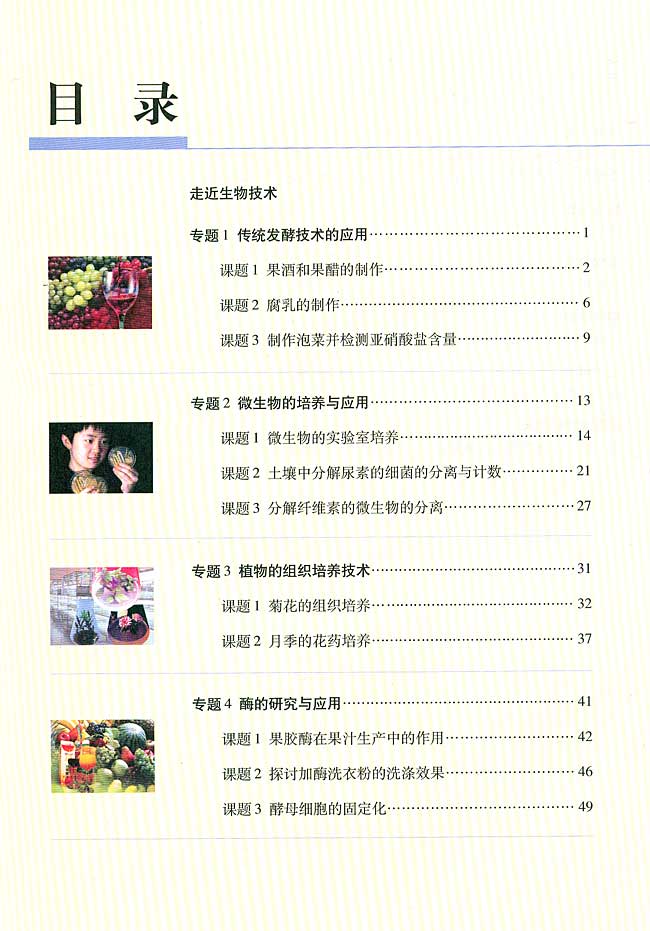 封面/前言/目录