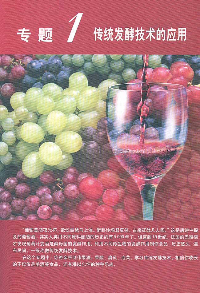 专题1 传统发酵技术的应用(第1页)