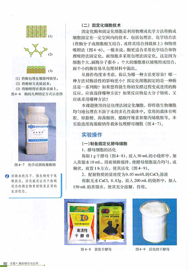课题3 酵母细胞的固定化(第50页)