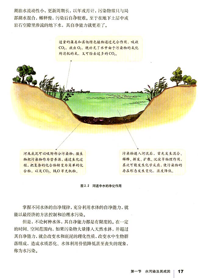第一节 水污染及其成因(第17页)