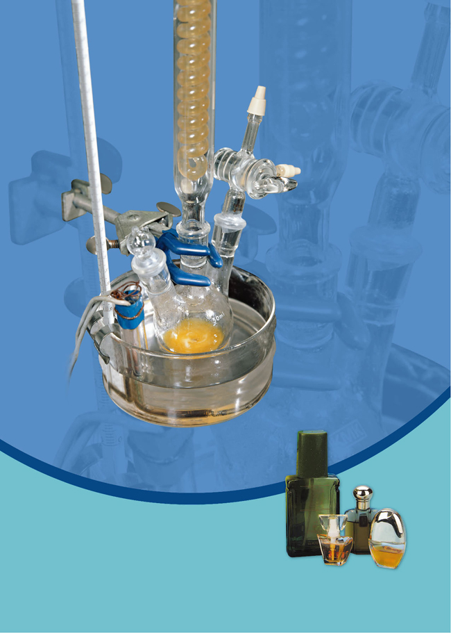 第三章 烃的含氧衍生物(第47页)