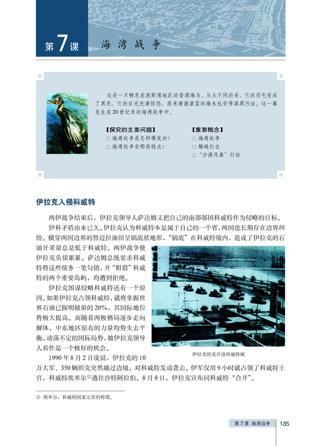 7 海湾战争(第135页)