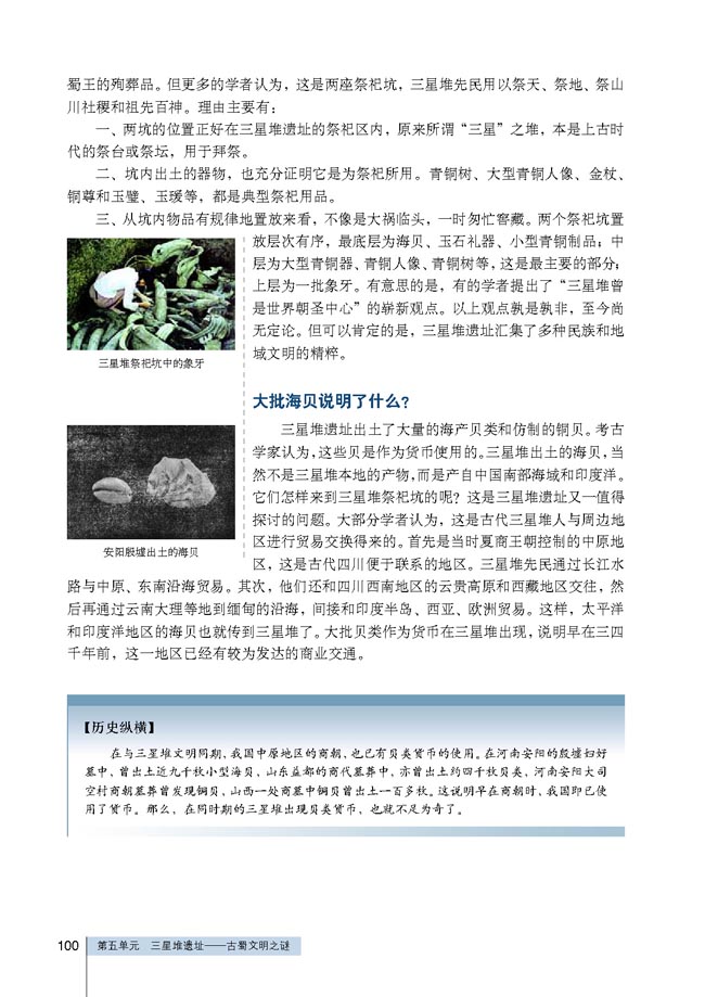 第4课 三星堆文化的未解之谜(第100页)