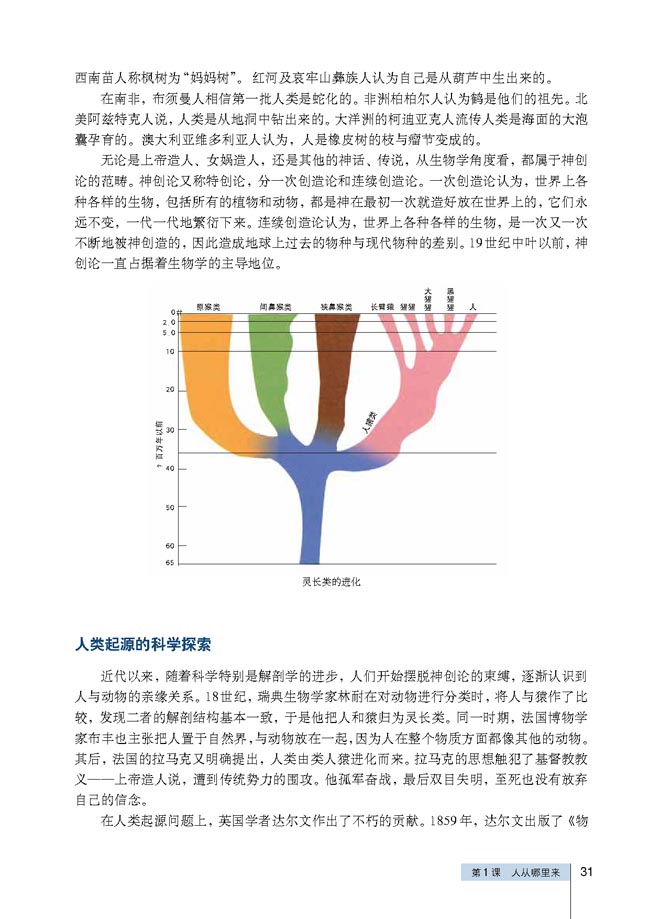 第1课 人从哪里来(第31页)