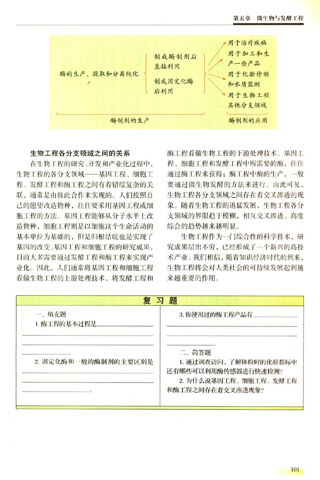 第四节 酶工程简介（选学）(第101页)