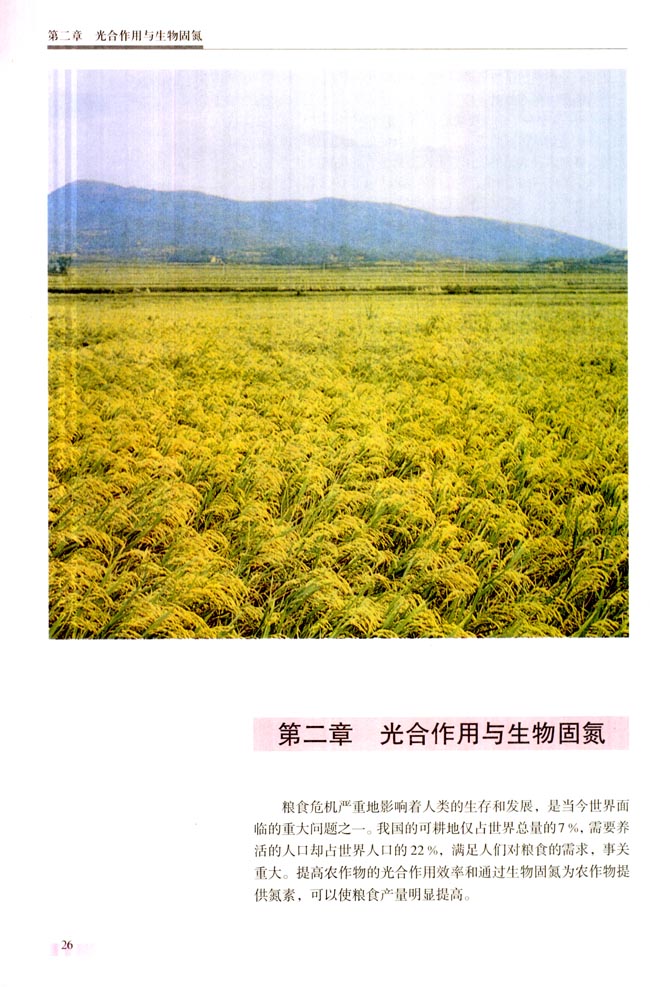 第二章 光合作用与生物固氮(第26页)