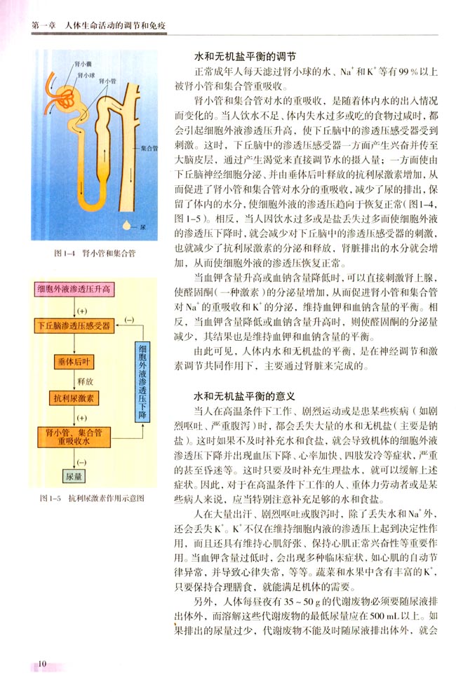 二 水和无机盐的平衡和调节(第10页)