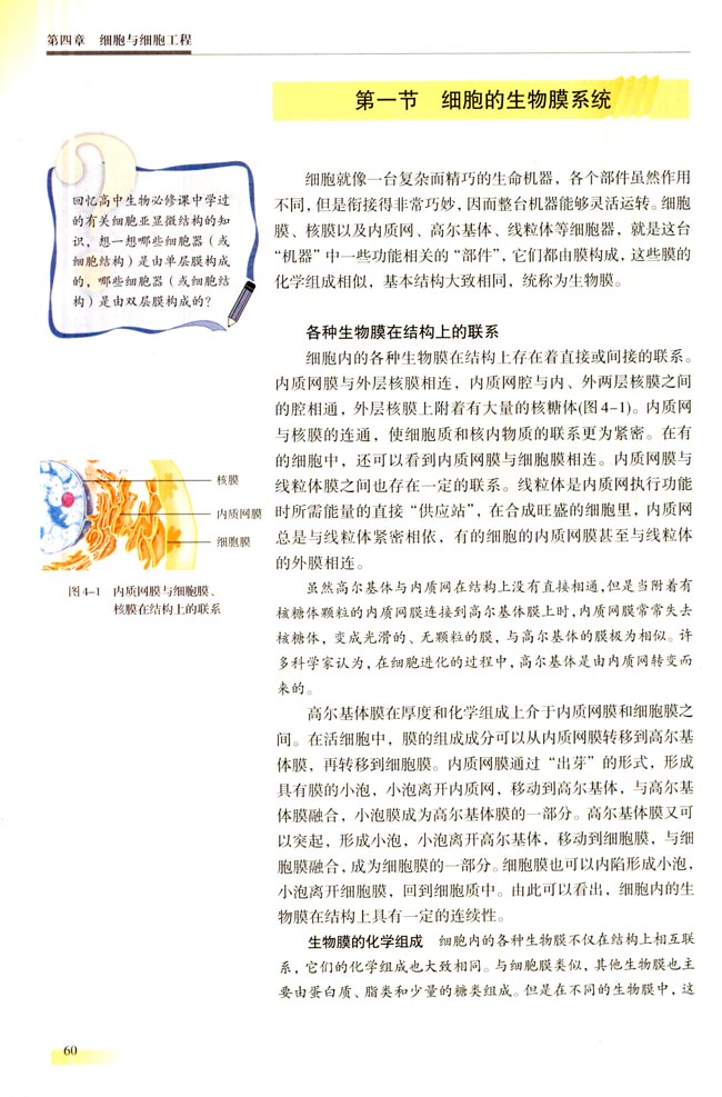 第一节 细胞的生物膜系统(第60页)