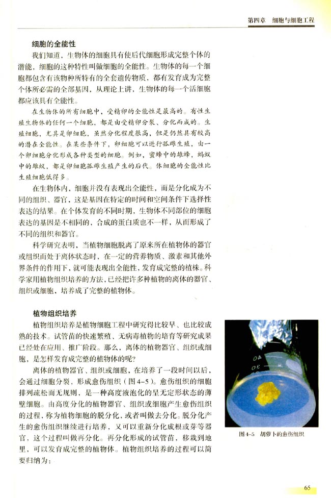 一 植物细胞工程(第65页)