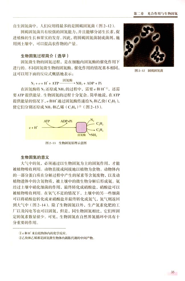 第二节 生物固氮(第35页)