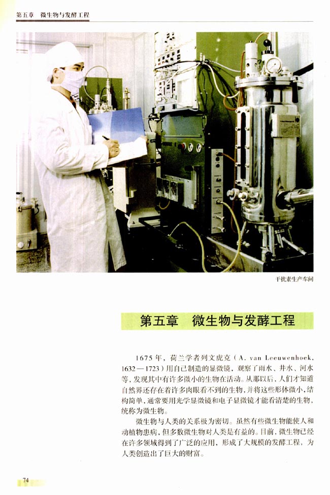 第五章 微生物与发酵工程(第74页)