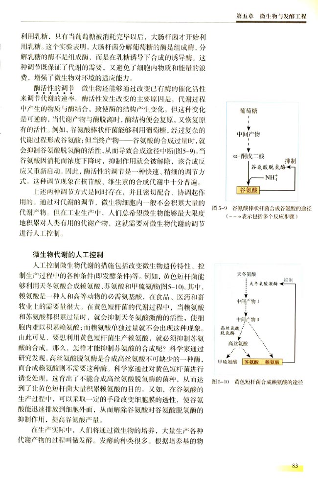 二 微生物的代谢(第83页)