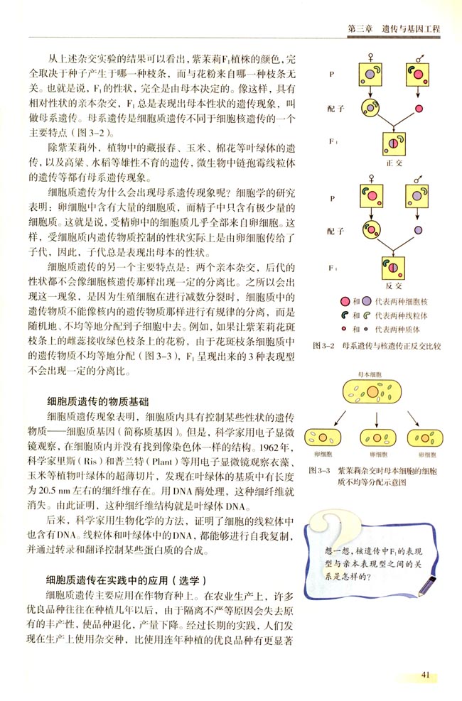 第一节 细胞质遗传(第41页)