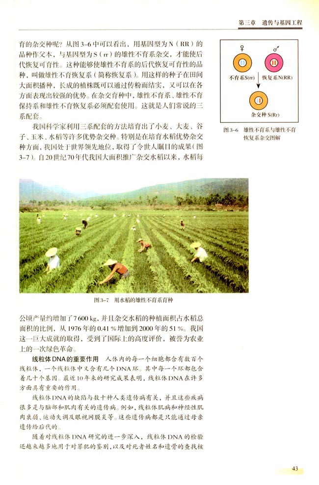 第一节 细胞质遗传(第43页)