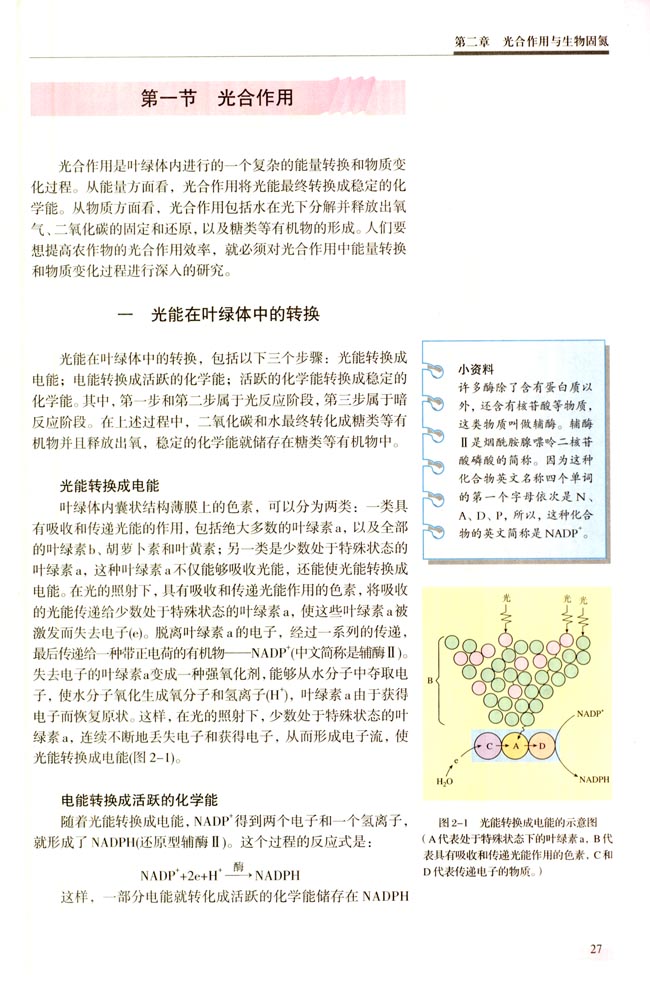 第一节 光合作用(第27页)