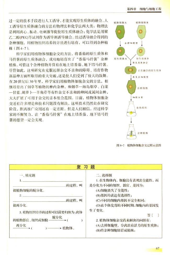 一 植物细胞工程(第67页)