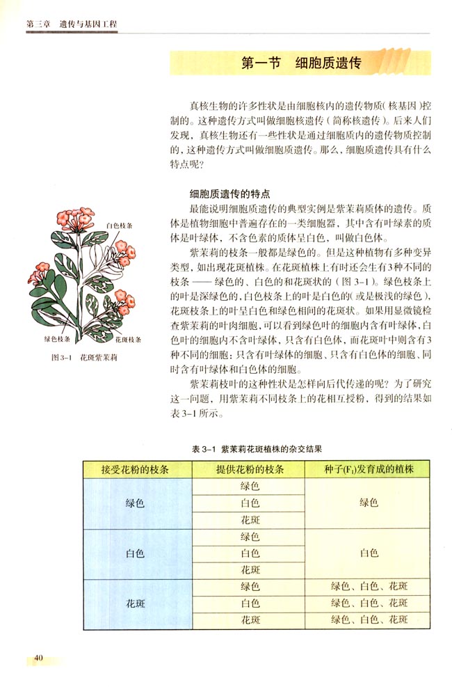 第一节 细胞质遗传(第40页)