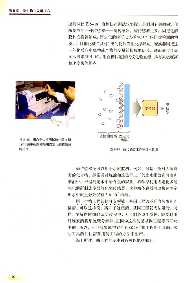 第四节 酶工程简介（选学）(第100页)