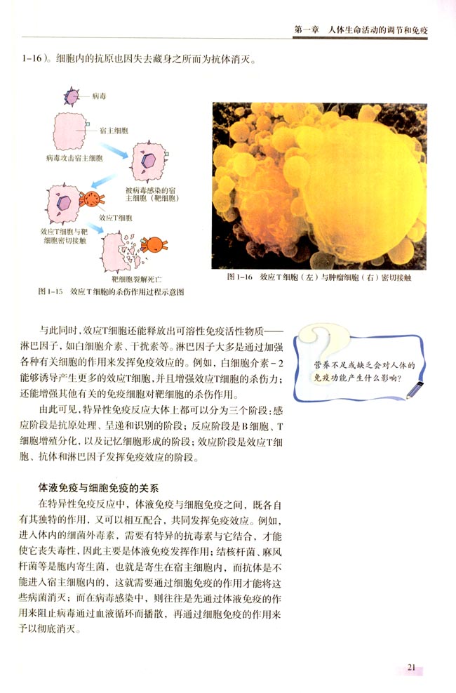 一 特异性免疫(第21页)