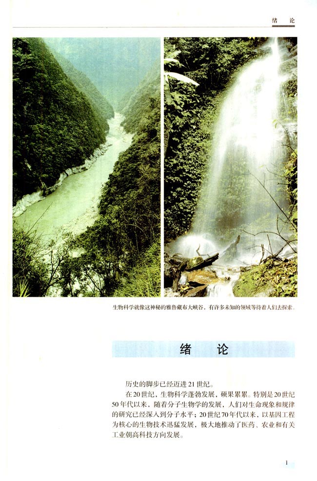绪论(第1页)