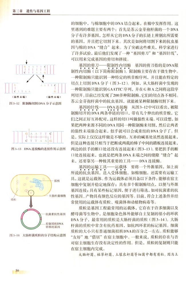 一 基因工程的基本内容(第50页)