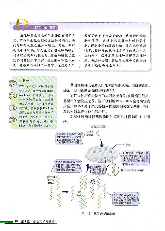 第2节 基因诊断与基因治疗(第10页)