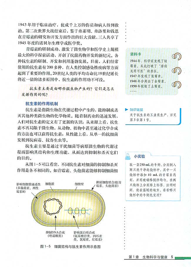 第1节 抗生素的合理使用(第5页)